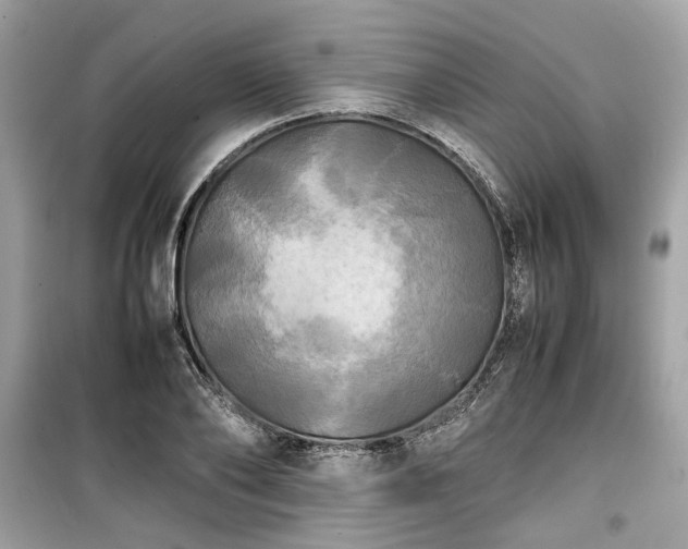 X0000099410886200805161019