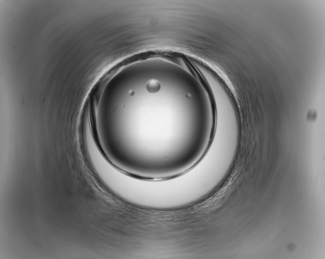 X0000099410887200805161019