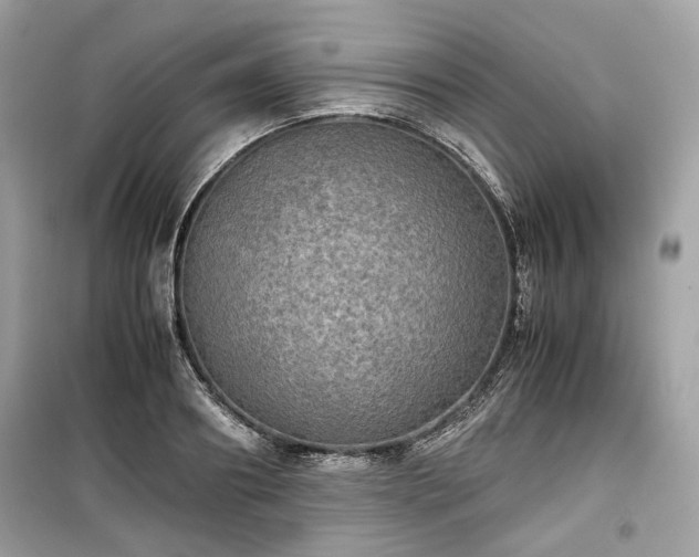 X0000099410890200805161019