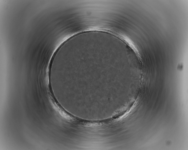 X0000099410892200805161018