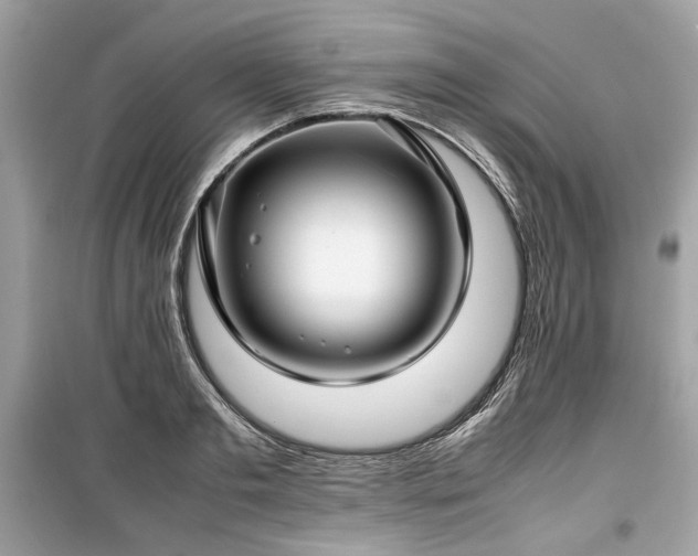 X0000099410893200805161018