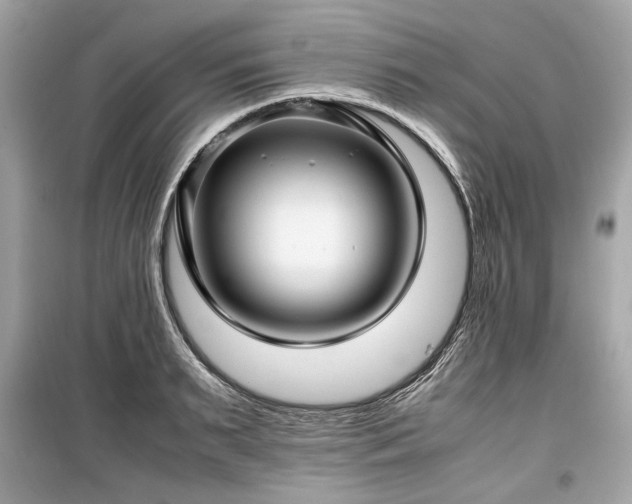 X0000099410895200805161018