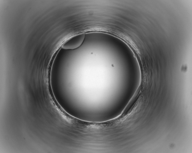 X0000099410898200805161018