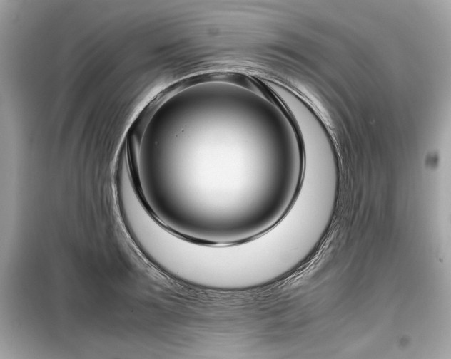 X0000099410899200805161018