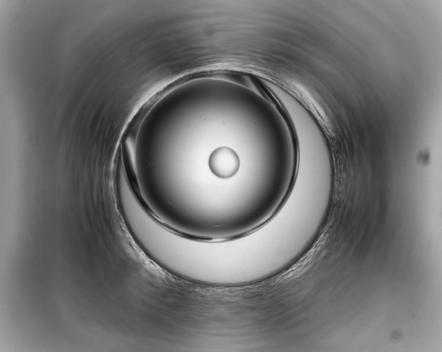 X0000099410900200805161018