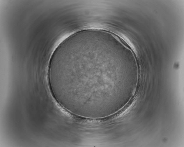 X0000099410901200805161018