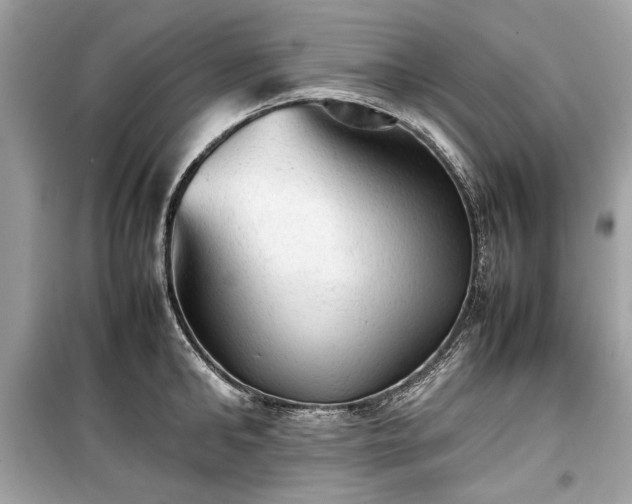 X0000099410902200805161018