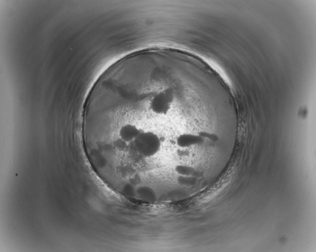 X0000099410903200805161018