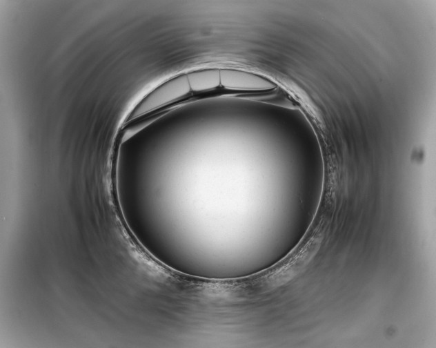 X0000099410904200805161018