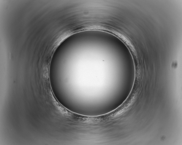 X0000099410905200805161018