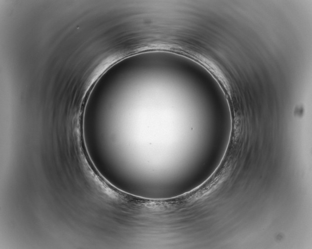 X0000099410906200805161018