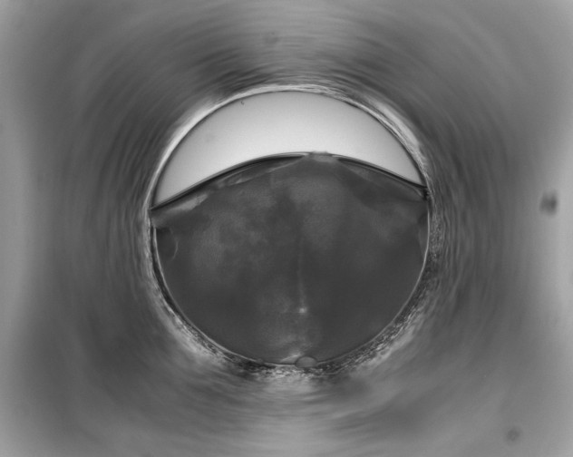 X0000099410907200805161018