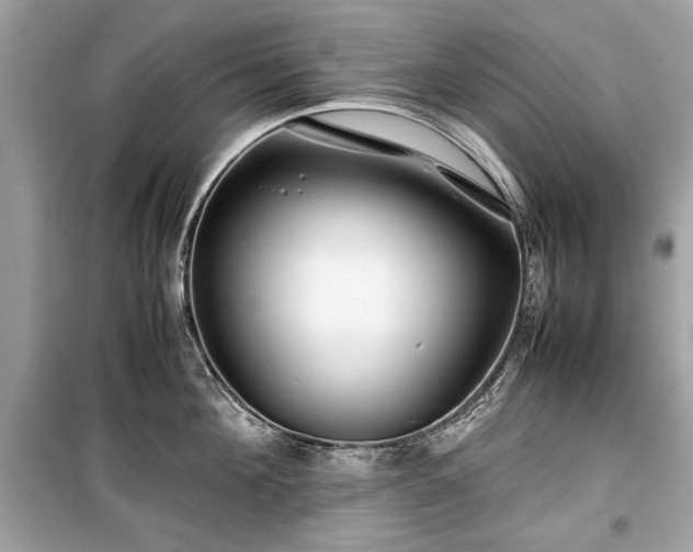 X0000099410908200805161018