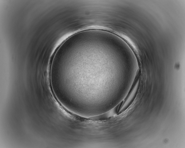 X0000099410910200805161018