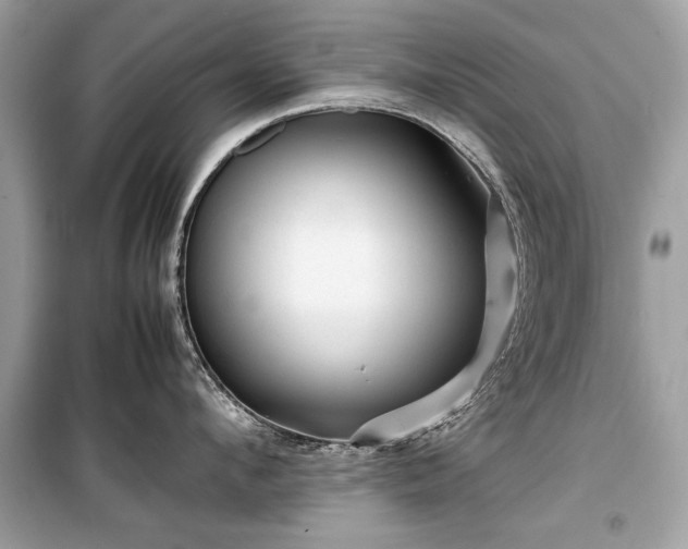 X0000099410912200805161018