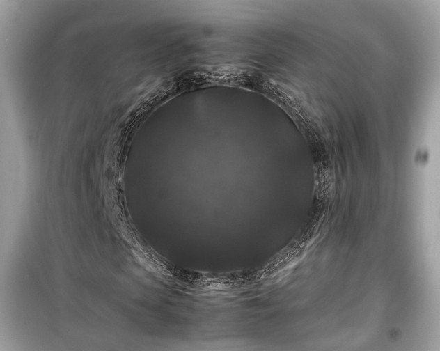 X0000099410913200805161017