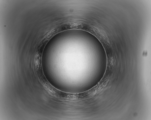 X0000099410914200805161017