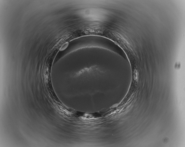 X0000099410915200805161017