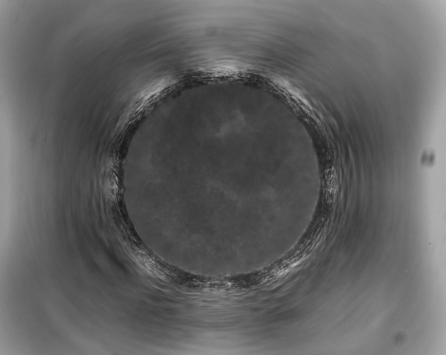 X0000099410916200805161017