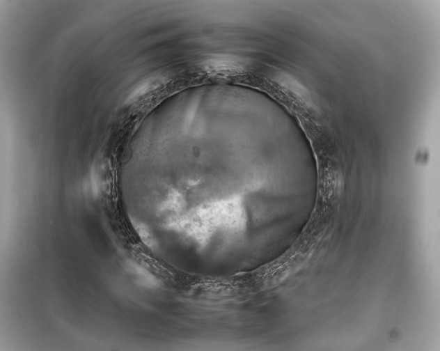X0000099410917200805161017
