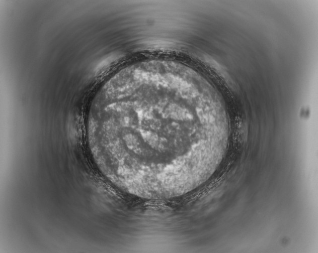 X0000099410918200805161017