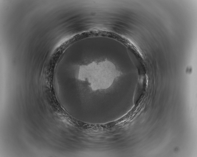X0000099410919200805161017