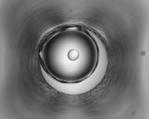 X0000099410920200805161017