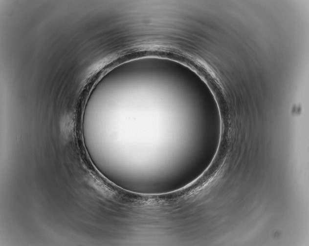 X0000099410922200805161017
