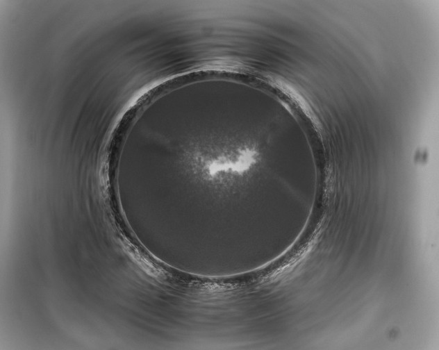 X0000099410923200805161017