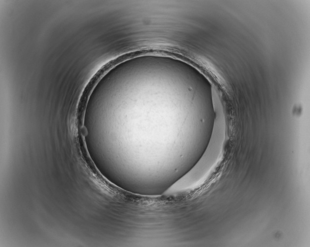 X0000099410924200805161018
