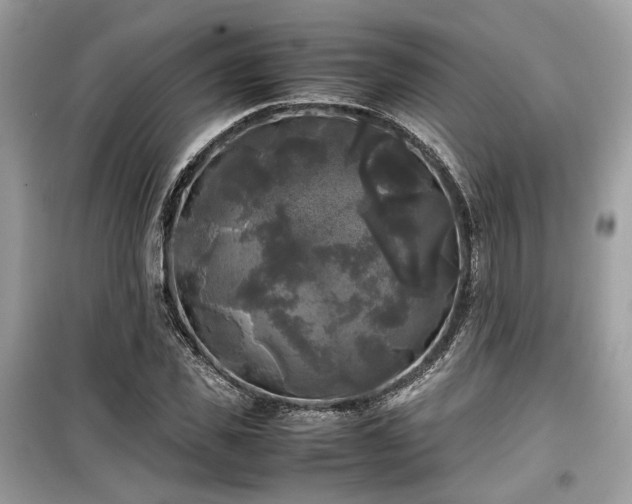 X0000099410925200805161018