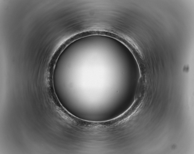 X0000099410926200805161018