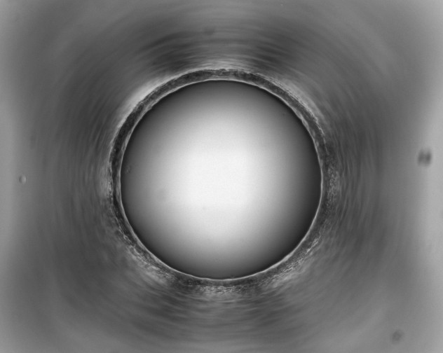 X0000099410927200805161018