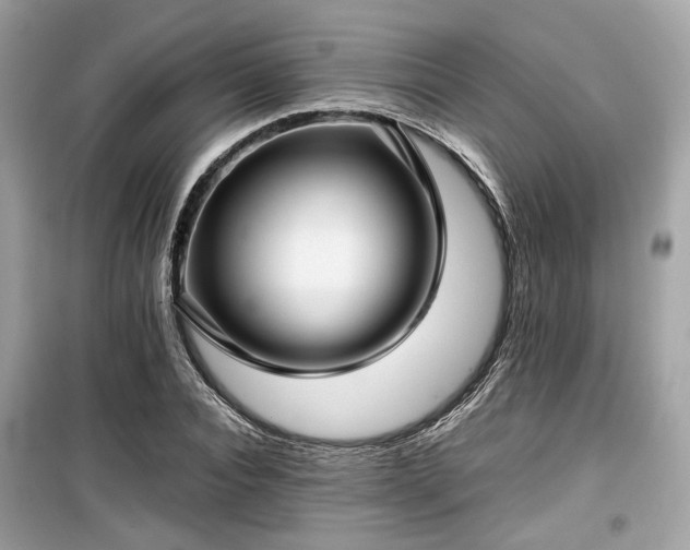 X0000099410928200805161018
