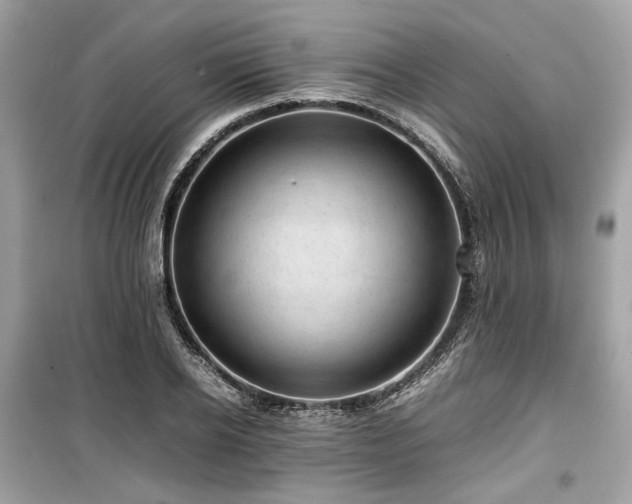 X0000099410934200805161018