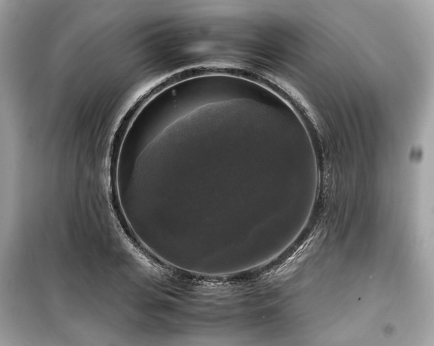 X0000099410935200805161018