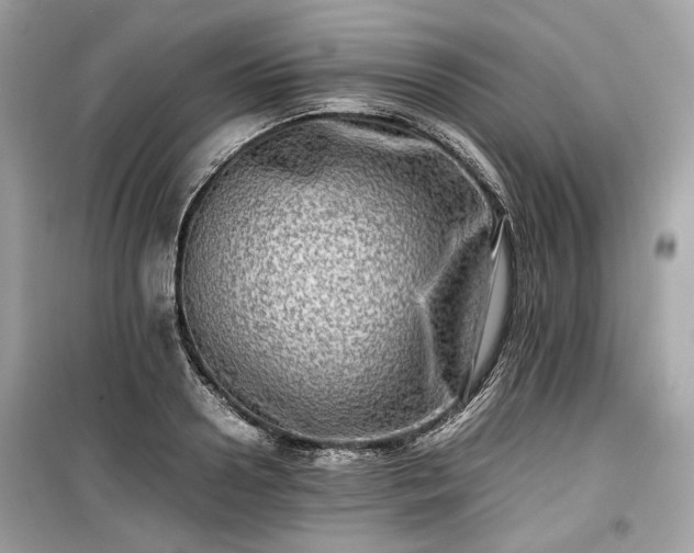 X0000099410938200805161018