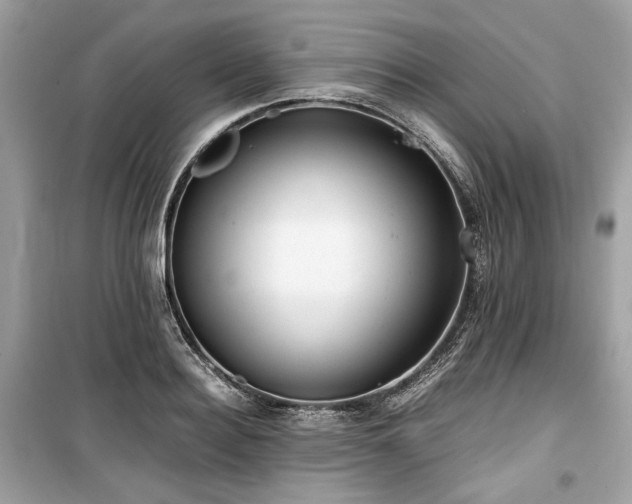 X0000099410940200805161018