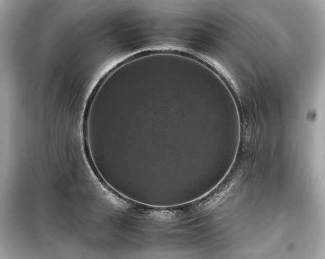 X0000099410943200805161018