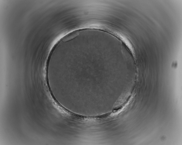 X0000099410944200805161018