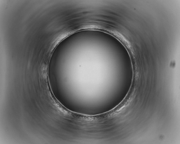 X0000099410945200805161018