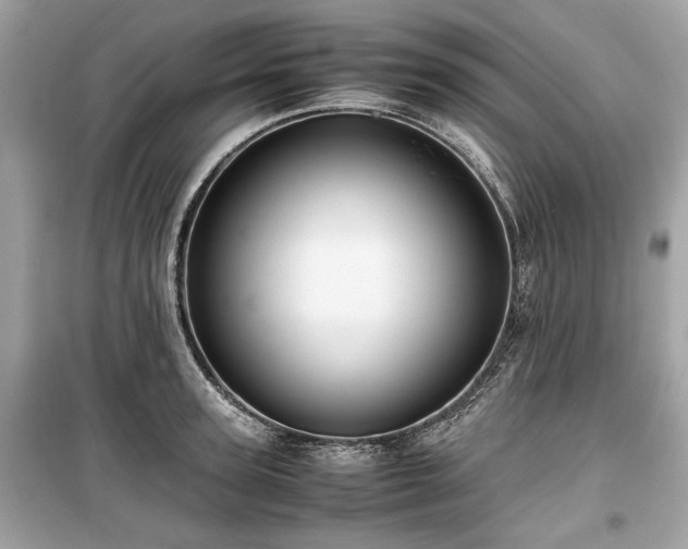 X0000099410947200805161018