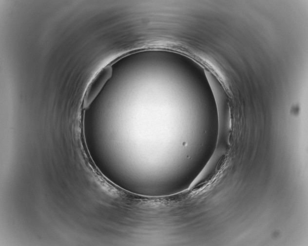 X0000099410948200805161018