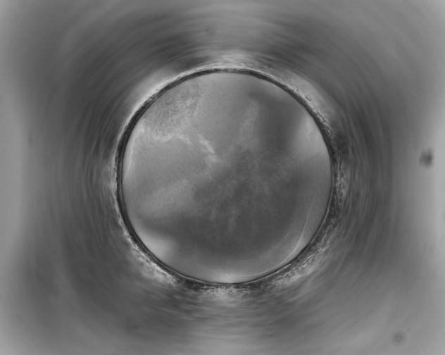 X0000099410950200805161018