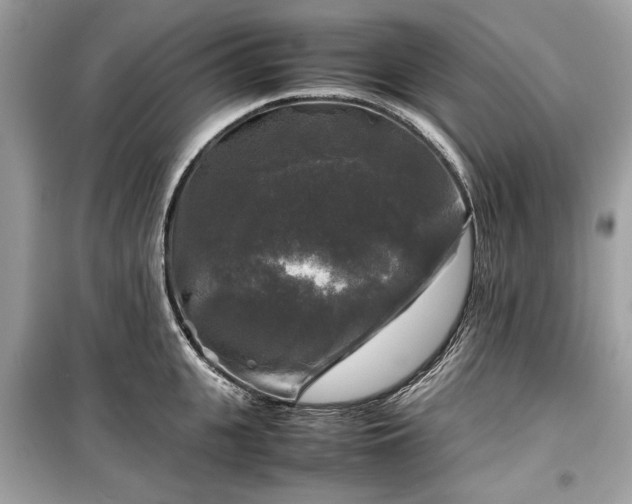X0000099410951200805161018