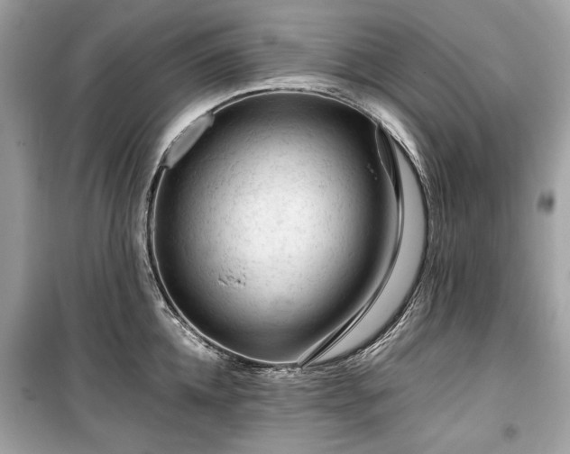 X0000099410952200805161018