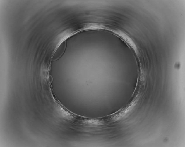 X0000099410953200805161018