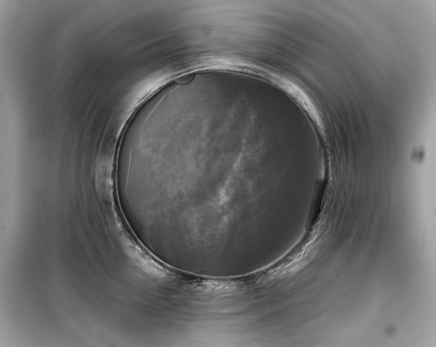 X0000099410954200805161018