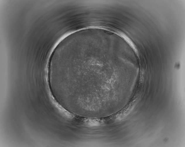 X0000099410955200805161018