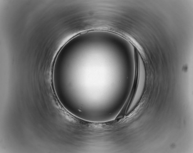 X0000099410956200805161018